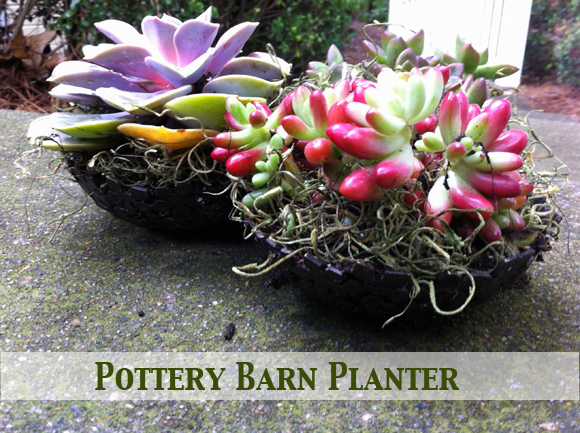 potterybarn planter4