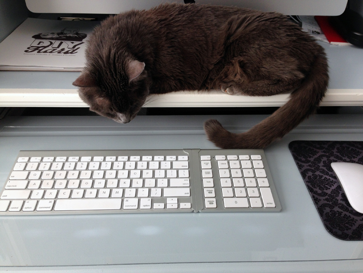 sofia working